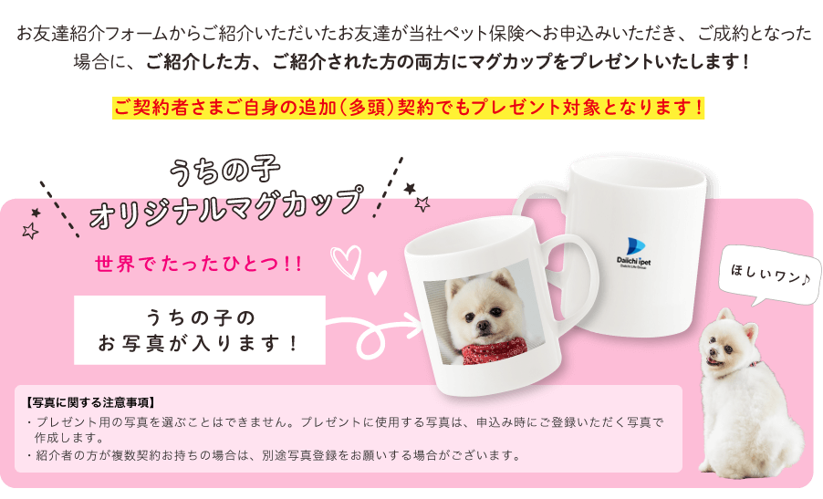 キャンペーン内容