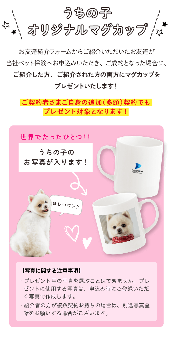 キャンペーン内容